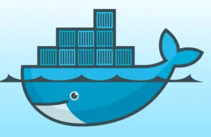 Reference: Docker Setup and Storage Management